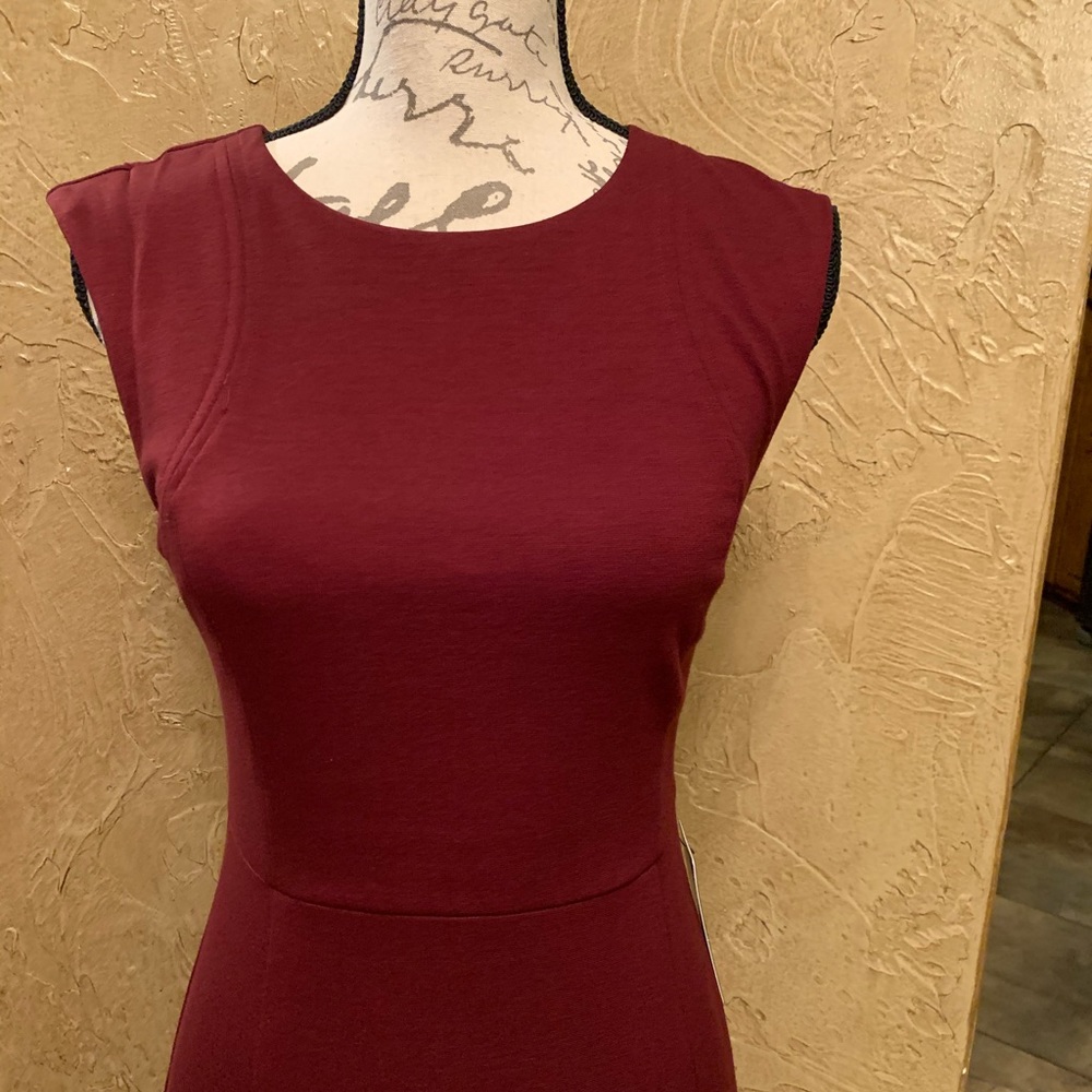 New Express Sheath Dress